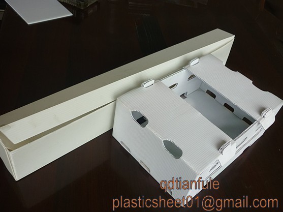 Corrugated Plastic Board Packing Box, PP Hollow Box