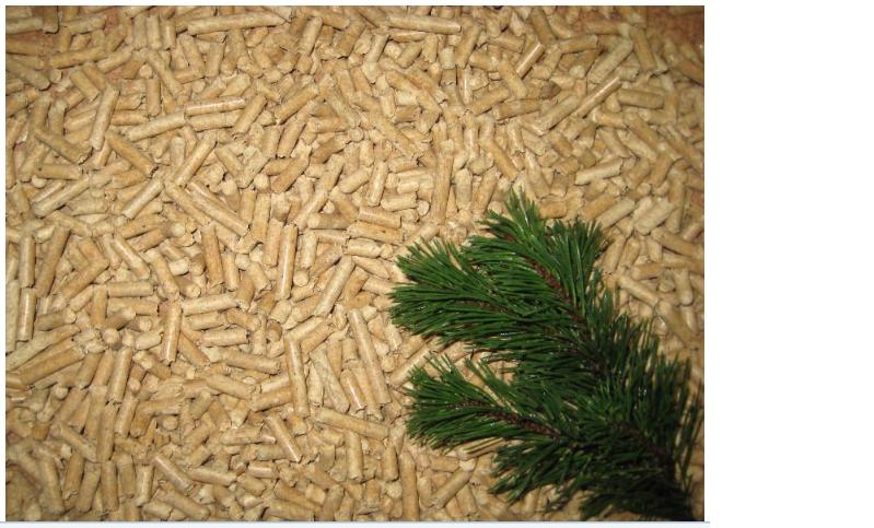 wood pellet