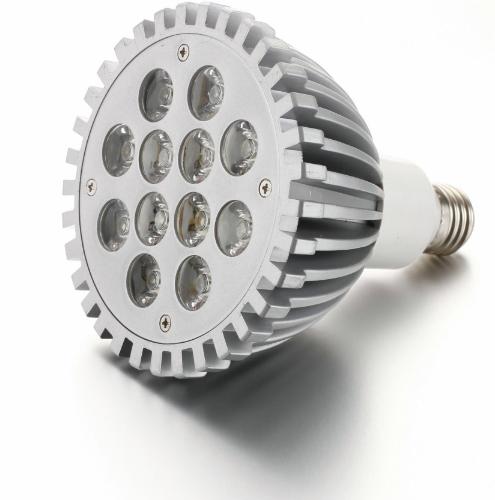 PAR38 HIGH POWER LED LAMP