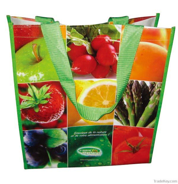 ECO-FRIENDLY PP WOVEN SHOPPING BAG