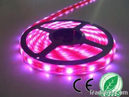 5050 60leds waterproof IP65 LED strip light