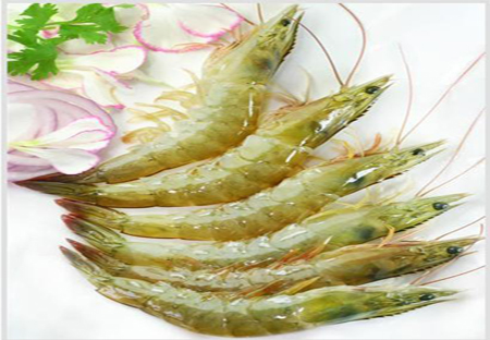 Vannamei shrimp