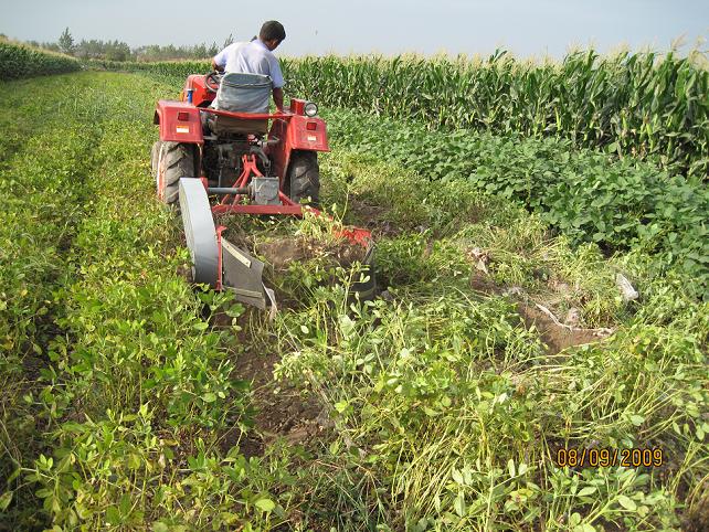 peanut harvester