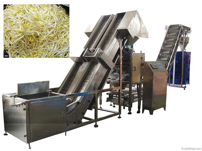 Packaging Machinery (Vegetable,Noodle)