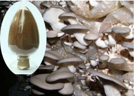 High purity pleurotus ostreatus polysaccharide