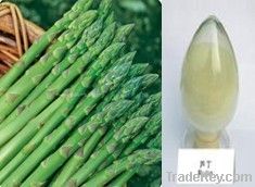 High purity Asparagus Rutin - No dextrin or any other materials added