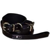 Dog Collars and Leads