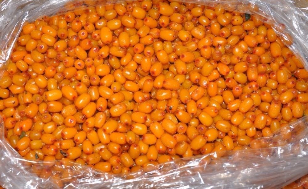 IQF sea buckthorn berries