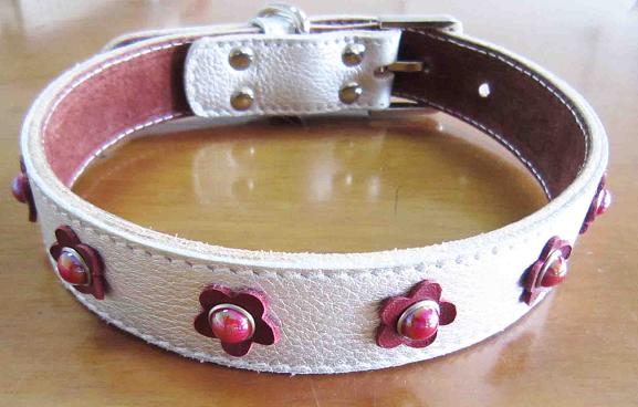 dog collar