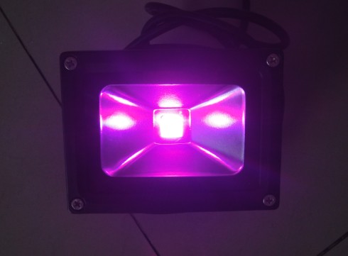 LED Flood Lights