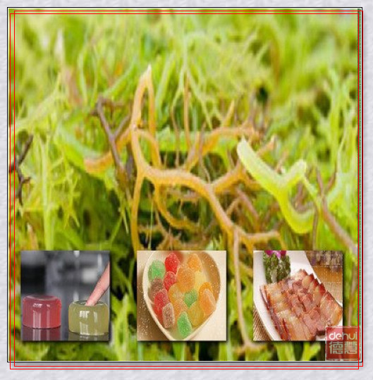 Carrageenan for meat products