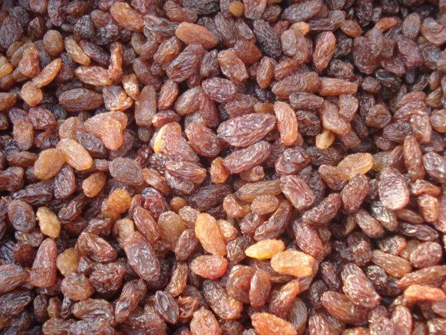 Sultana Raisin