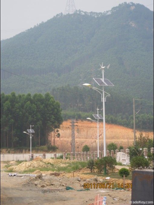 100W Horizontal Axis Wind Power Generator