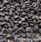 Natural Black Sesame Seeds