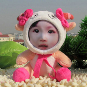 DIY 3D Face Soft Toy(moving your face on toys)