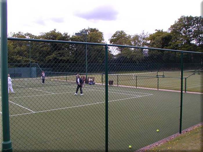 Chain Link Fence