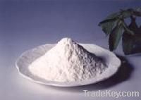 Stevia Extract