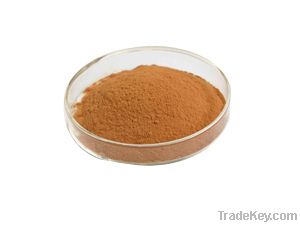 Rhodiola Rosea Extract