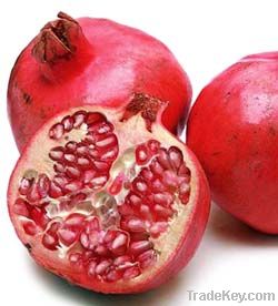 Pomegranate Extract