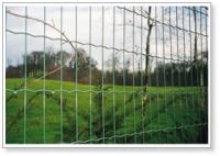 Euro Fence