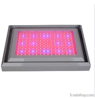 Water-Proof 300W LED Grow Lights