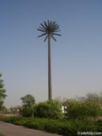 Arabian Date Palm Pole