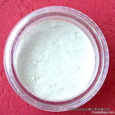 Zinc Glycine Chelate