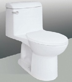 DC-24 one-piece toilet