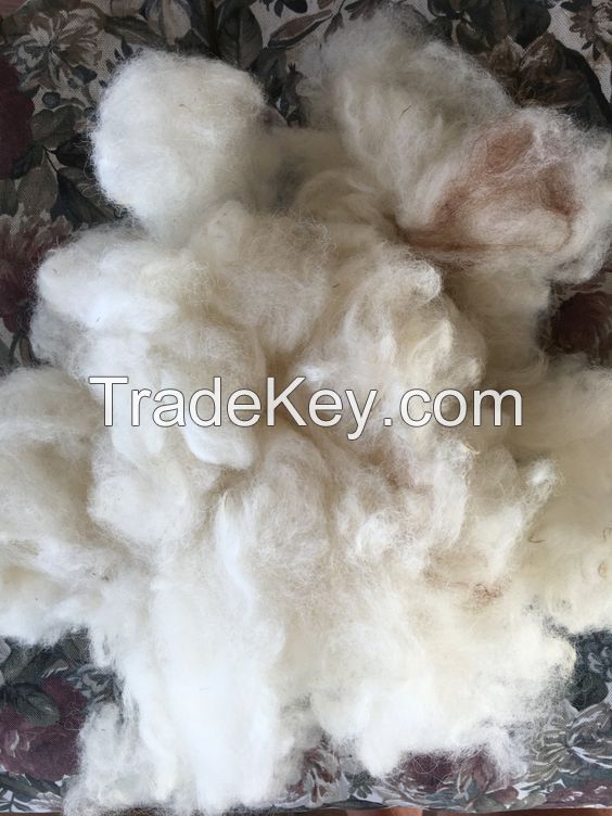 ALPACA FIBER ALPACA TOPS