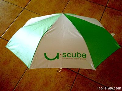 folding umbrella