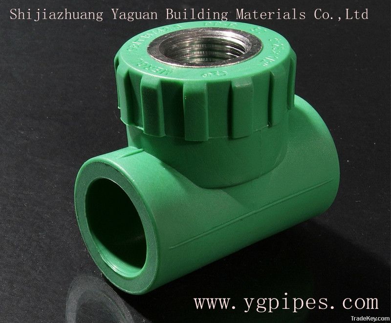 PPR Pipe Fitting Female Thread Tee