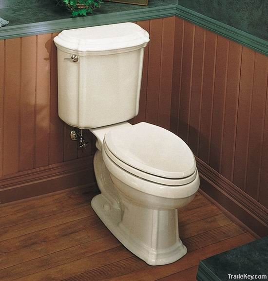 Water Closet Two Piece Toilet