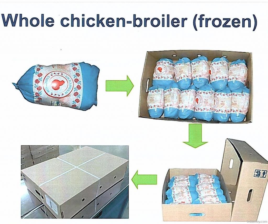 Whole Chicken | Export Whole Chicken Meat | Chicken Meat Suppliers | Poultry Meat Exporters | Chicken Pieces Traders | Processed Chicken Meat Buyers | Frozen Poultry Meat Wholesalers | Halal Chicken | Low Price Freeze Chicken Wings | Best Buy Chicken Part