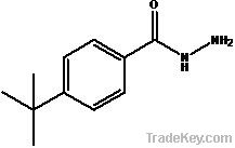 p-tert-Butylbenzohydrazide