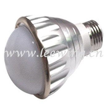 LW-QP-21 5W LED BULB LIGHT