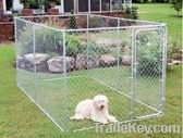 dog  kennel