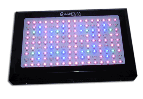 300W Quantum Pro-Bloom LED Grow Light