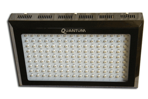 300W Quantum Pro-Bloom LED Grow Light