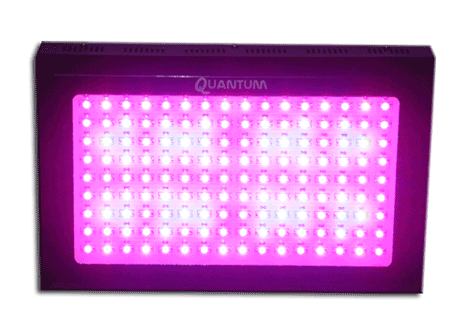 300W Quantum LED Grow Light