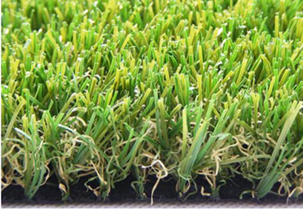 Football Grass