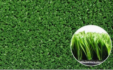 Football Grass