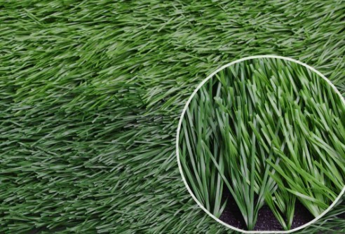 Football Grass