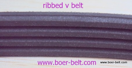 poly ribbed v belt