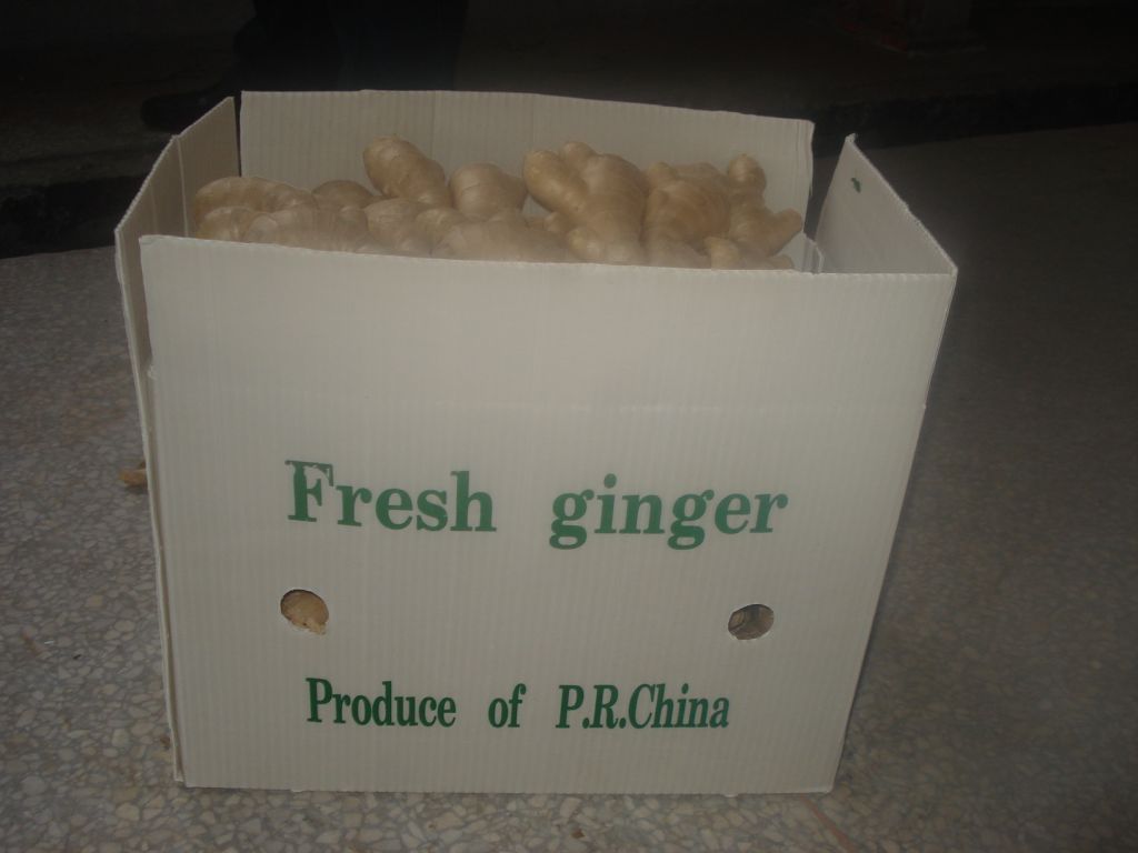 Fresh Ginger