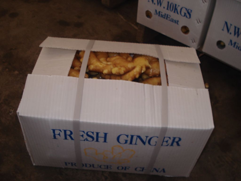 Fresh Ginger