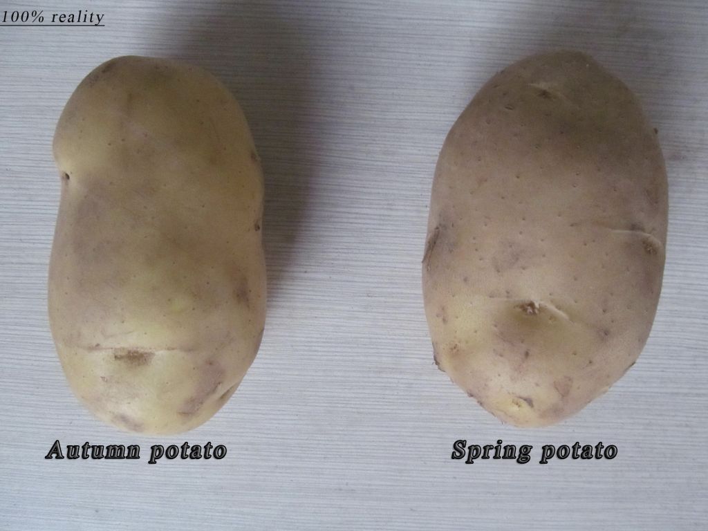 Fresh potato