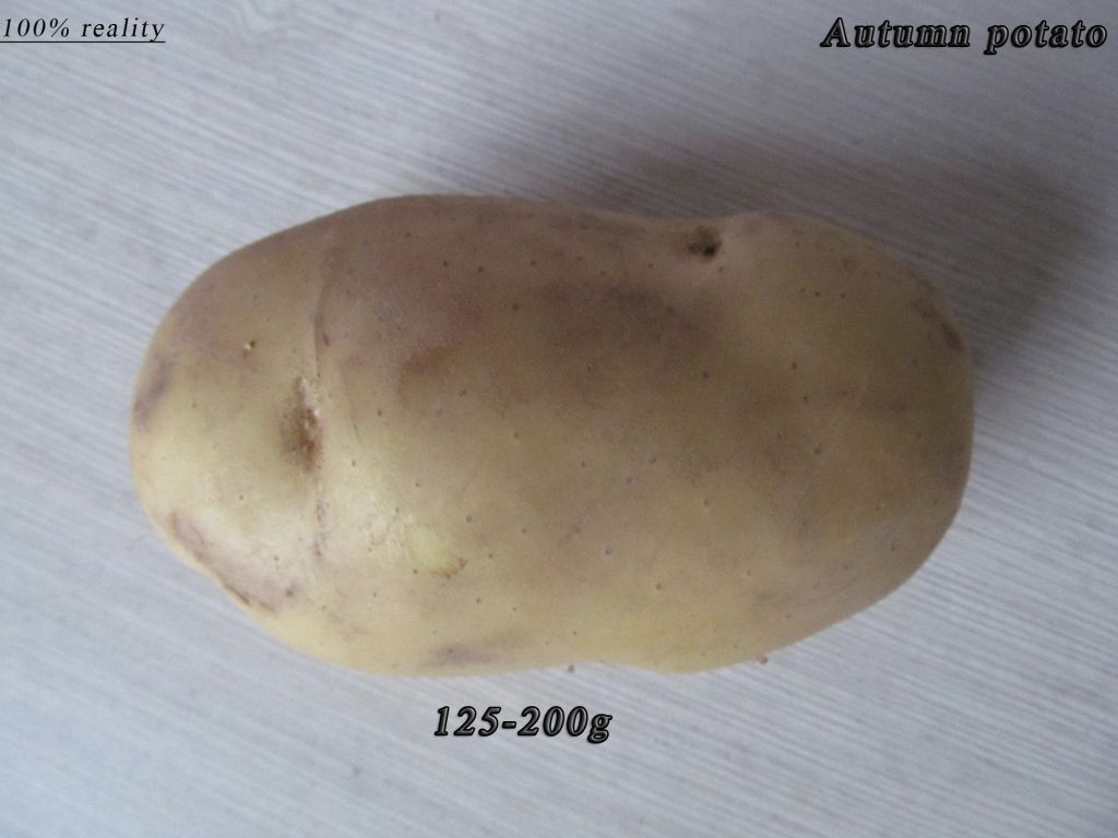 Fresh potato