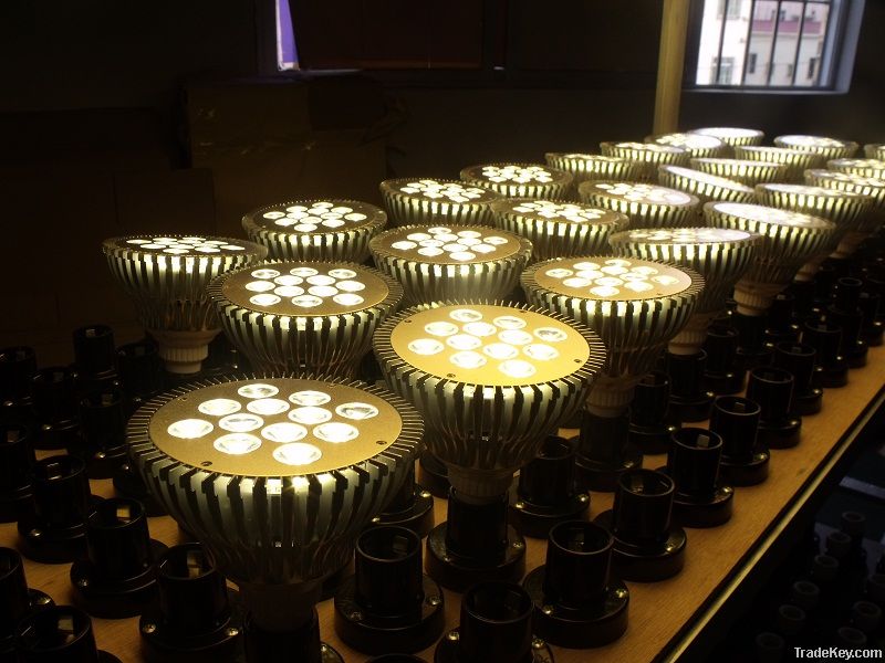 PAR38 12W LED Spot Light E27 Dimmable