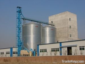 Paddy Storage Silo