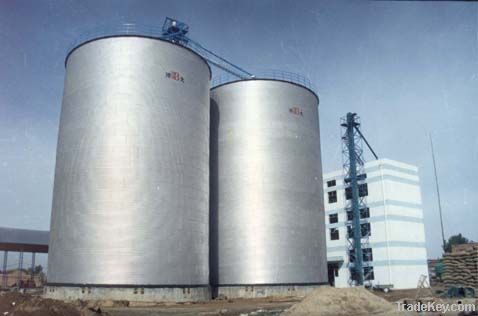 Paddy Storage Silo